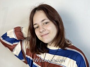 Wilonegriscom