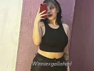 Winniexgallahad