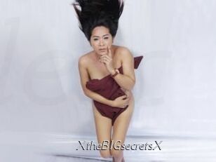XtheBIGsecretsX