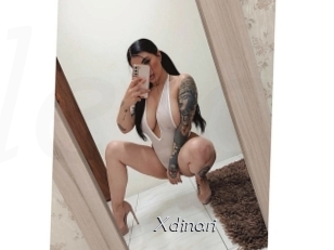 Xdinari