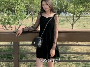 Xiaokea1