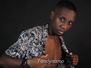 Yandynamo