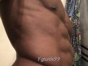 Ygturtle99