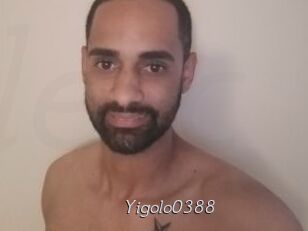 Yigolo0388