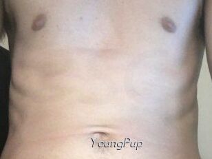 YoungPup