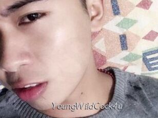 YoungWildCock4u
