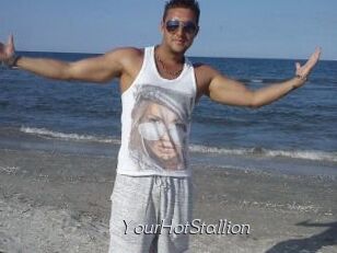 YourHotStallion