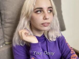 Your_Daisy