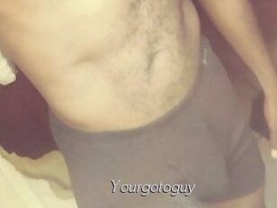 Yourgotoguy