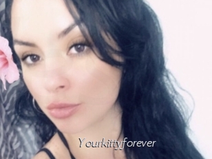 Yourkittyforever