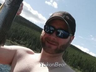 YukonBear