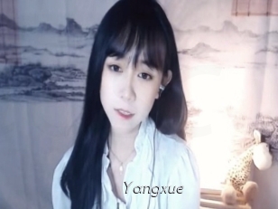 yangxue Le Scandale