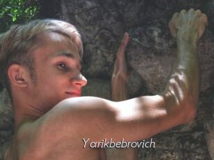 Yarikbebrovich