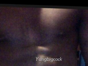 Yungbigcock