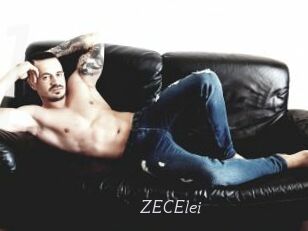 ZECElei