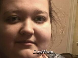ZizaWalts