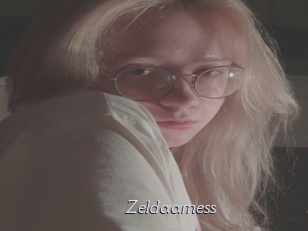 Zeldaarness