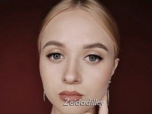 Zeldadilley
