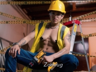 Zoekrug